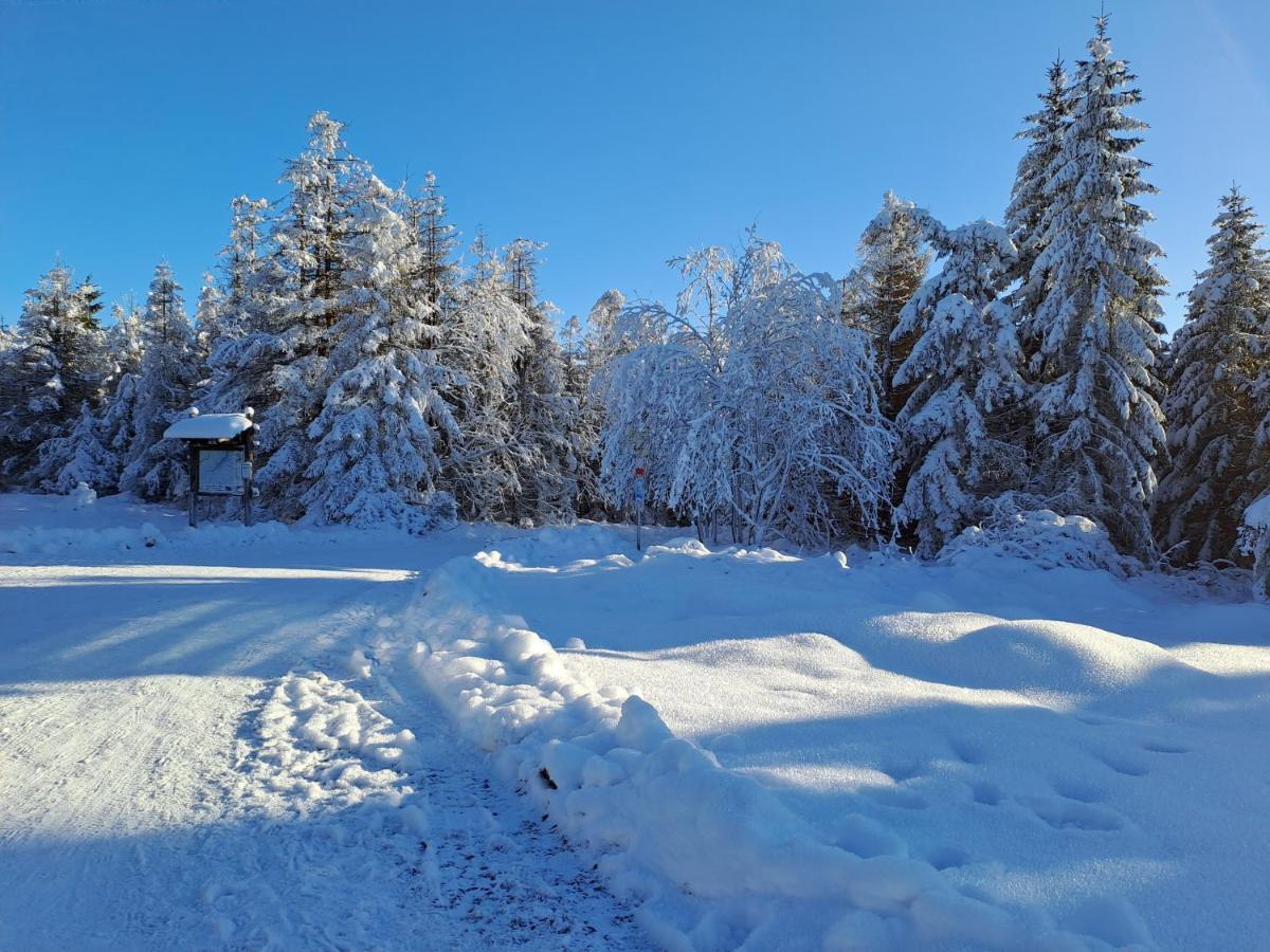 Wohnen Wie Bei Freunden Braunlage Exteriér fotografie